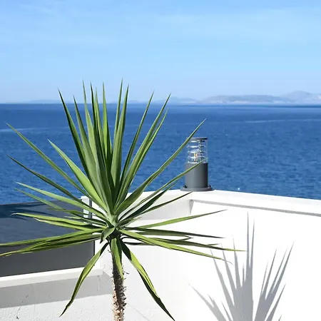 Sky Way アパート *